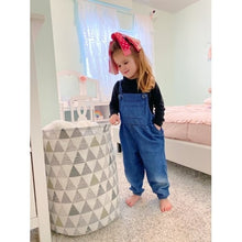 Load image into Gallery viewer, Storage Basket Triangle