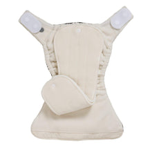 Load image into Gallery viewer, Basil