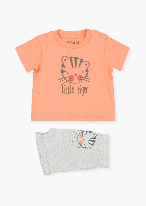 Little Tiger Set